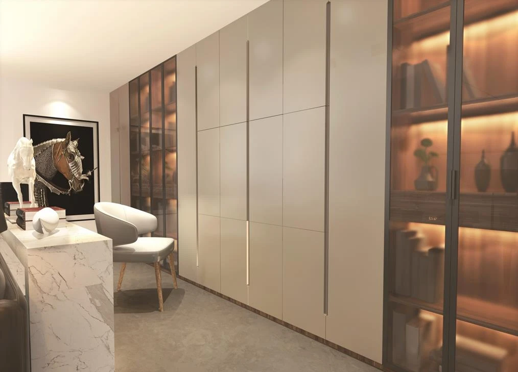 Modern Customized Bookcase